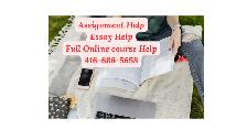 Urgent assignment help, Essay help, Nursing, Online course help
