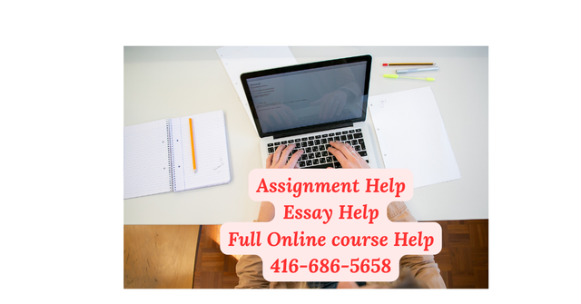 Nursing, Business & Psychology Assignment Help | Essays & Report