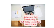 Nursing, Business & Psychology Assignment Help | Essays & Report