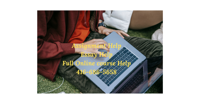 Nursing, Healthcare & Public Health Assignment Help, Essays, Bio