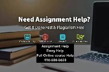 Marketing, HRM & Management Assignment & Essay Help