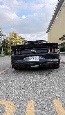 FOR SALE – 2015 FORD MUSTANG GT PREMIUM 5.0 V8 - Photo 4