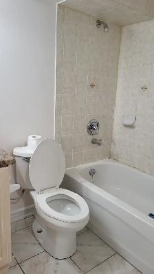 1 Bedroom Basement Apartment available for Rent - Photo 2