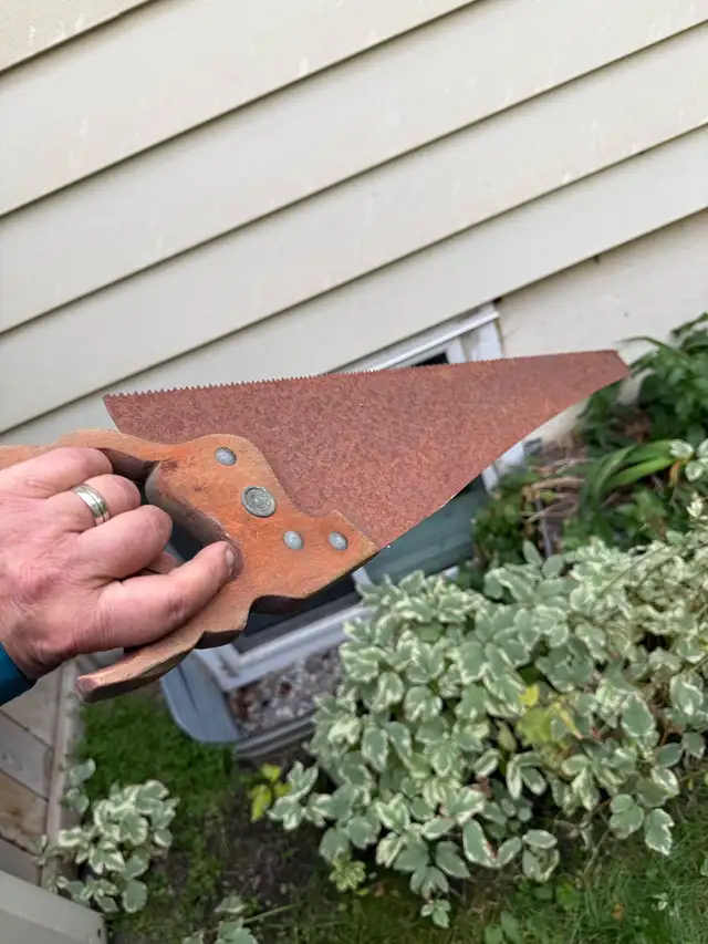 Rusty hand saw
