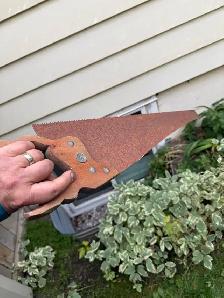 Rusty hand saw