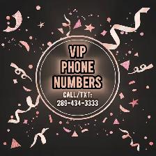 Unique Phone Numbers Memorable Vip Phone Numbers