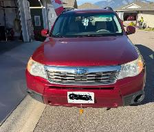 Subura Forester
