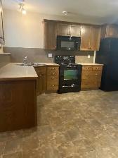 2 Bedroom Basement Suite in Southbrook - Photo 3