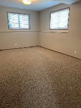 2 Bedroom Basement Suite in Southbrook - Photo 4