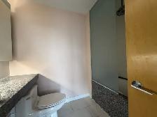 DNA CONDO: Large 1 Bedroom Den/2 Baths Condo For Rent w/ PRKG - Photo 11