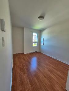 Nice and big two-bedroom / Beau et grand 4 1/2 /Aylmer-Gatineau - Photo 2