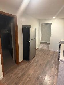 Beautiful 2-bedroom basement apartment for rent in Taradale NE. - Photo 6