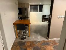 1 bedroom basement suite - Photo 10