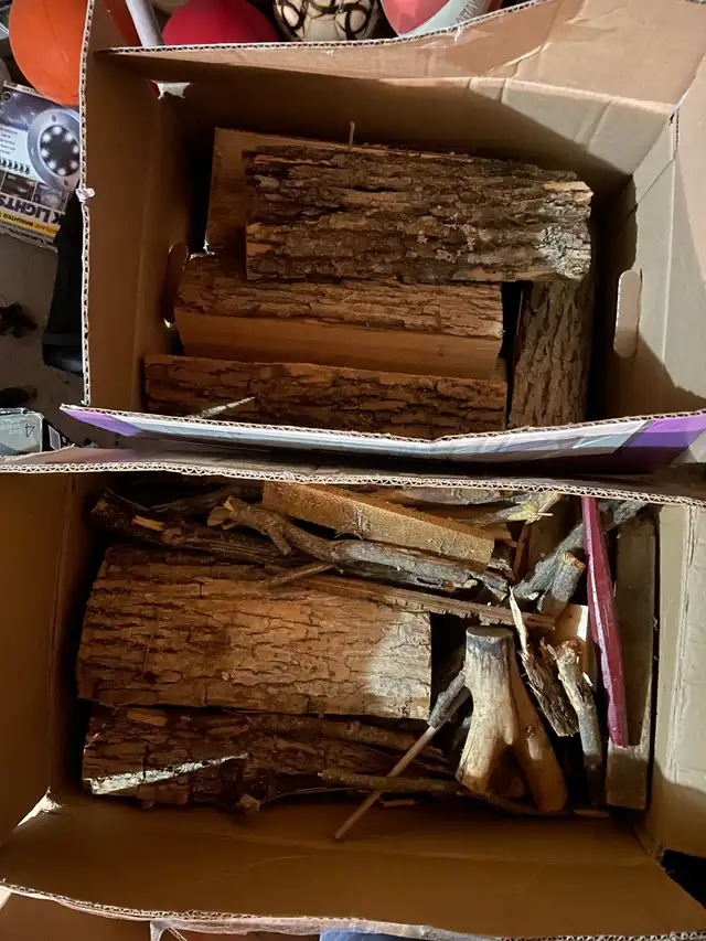FREE firewood
