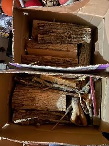 FREE firewood