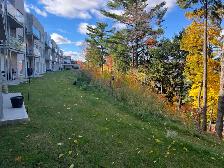 Grand condo 31/2  à louer - Photo 9