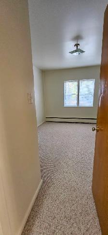 FIND A WARM PLACE - BEAUTIFUL 2 BEDROOM ON THE HILL! - Photo 9