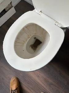 Cleaning Services - Photo 5