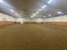Horse Boarding — Outdoor Paddock & Pasture | Citrine Equine - Photo 2