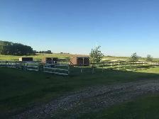 Horse Boarding — Outdoor Paddock & Pasture | Citrine Equine - Photo 3