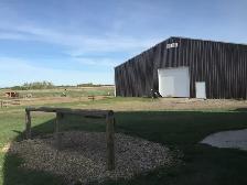 Horse Boarding — Outdoor Paddock & Pasture | Citrine Equine - Photo 4