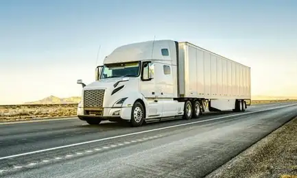 Professional Truck driver