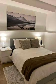 Beautiful Aspen Ridge 2 BR Basement Suite - Photo 3