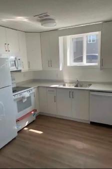 Beautiful Aspen Ridge 2 BR Basement Suite - Photo 4