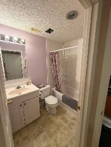Bright NW Furnished Walkout Basement – $950/Month Utilities Inc - Photo 2