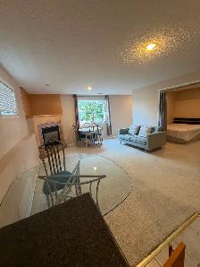 Bright NW Furnished Walkout Basement – $950/Month Utilities Inc - Photo 3