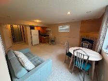 Bright NW Furnished Walkout Basement – $950/Month Utilities Inc - Photo 9