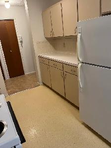 WEST HILL 2  BEDROOM APT - Photo 8