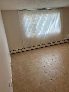 WEST HILL 2  BEDROOM APT - Photo 9