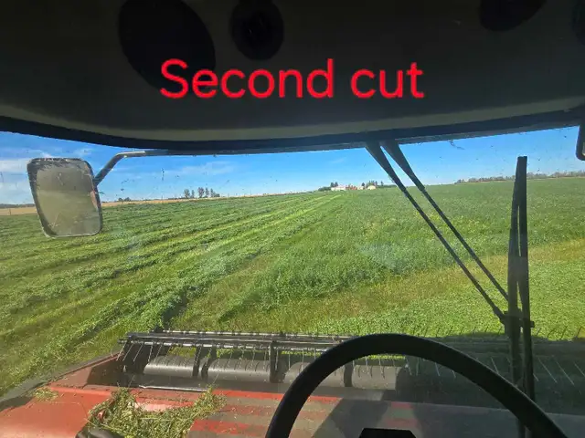 Alfalfa hay 1st and 2nd cut solid core round bales