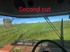 Alfalfa hay 1st and 2nd cut solid core round bales