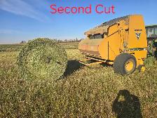 Alfalfa hay 1st and 2nd cut solid core round bales - Photo 2