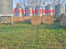 Alfalfa hay 1st and 2nd cut solid core round bales - Photo 6