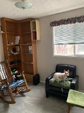Room for rent / pet friendly - Photo 2
