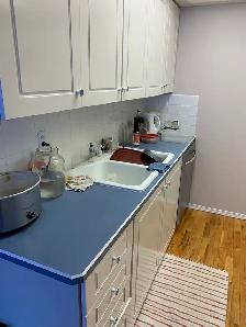 Room for rent / pet friendly - Photo 5