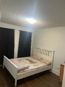 Room available for rent