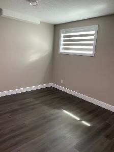 basement for rent