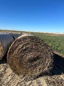 Hay for sale