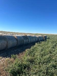 Hay for sale - Photo 2