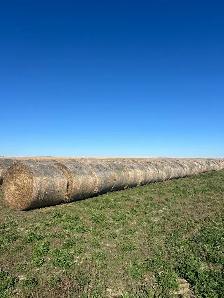 Hay for sale - Photo 3