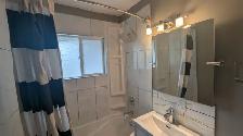 Huge master bedroom for rent $750 per month plus DD - Photo 4