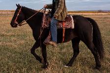 kids horse - Photo 3