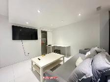 1 Bedroom   Den Basement Apartment for Rent in Maple - Photo 4