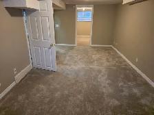 Spacious 1-bedroom Basement Suite - Winston Heights NE - Photo 3