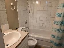Spacious 1-bedroom Basement Suite - Winston Heights NE - Photo 4