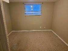 Spacious 1-bedroom Basement Suite - Winston Heights NE - Photo 6
